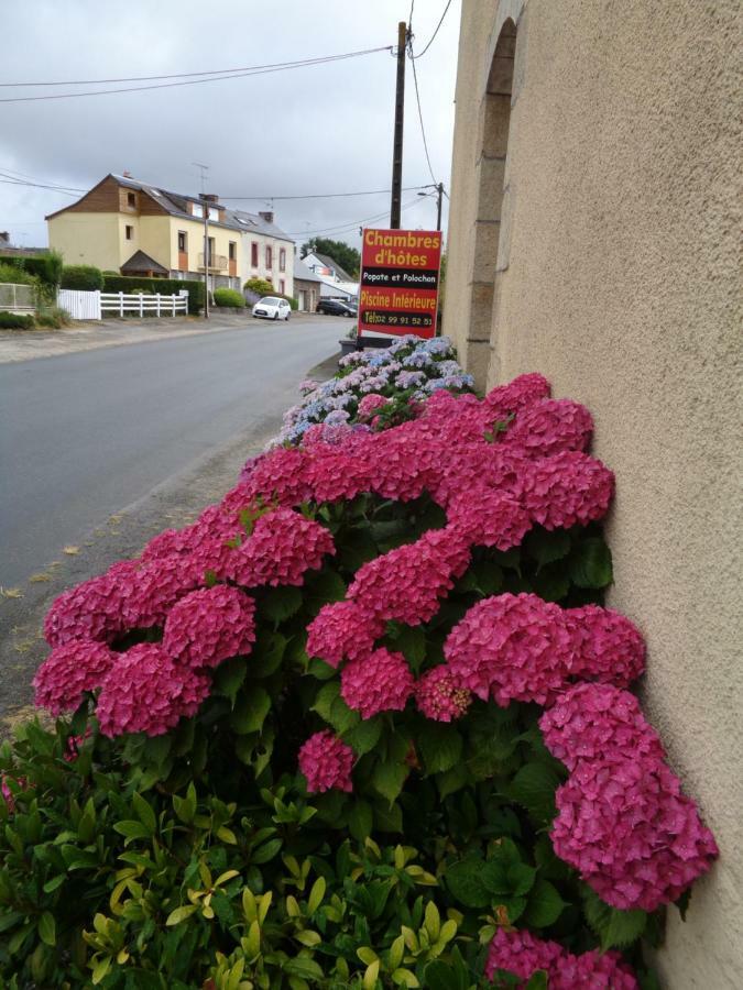 Bed and Breakfast Popote Et Polochon Saint-Martin-sur-Oust Exterior foto